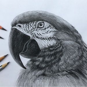 Meet your Posher, Arden